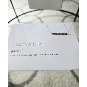 Wishbonne 14K Gold Dipped January Garnet Necklace New